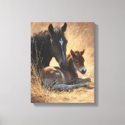 Zwarte Merrie met Veulen Rustieke Schildering Canvas Afdruk (Voorkant)