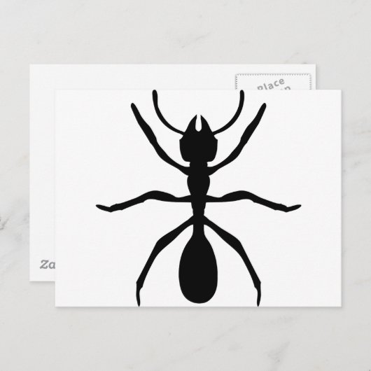 zwarte mier briefkaart (Voorkant / Achterkant)