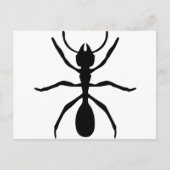 zwarte mier briefkaart (Voorkant)
