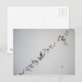 Zwarte mieren volgen elkaar in een keten briefkaart (Voorkant / Achterkant)