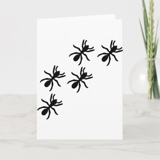 zwarte mierenpad kaart (Voorkant)