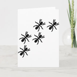 zwarte mierenpad kaart