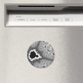Zwarte Mini Brood Magnetron Magneet (Insitu (Vaatwasser))