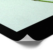 Zwarte moerasstaart met staartpeterselie poster (Hoek)