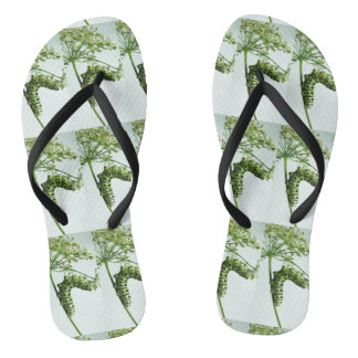 Zwarte moerasstaart met staartpeterselie teenslippers