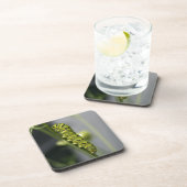 Zwarte moerasstaartschar (peterselyworm) op diesel bier onderzetter (Rechterzijde)