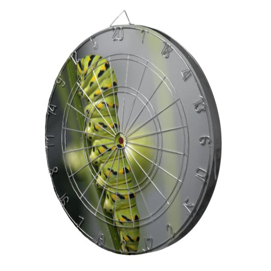 Zwarte moerasstaartschar (peterselyworm) op diesel dartbord (Voorkant Rechts)