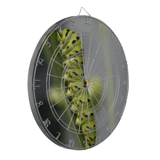 Zwarte moerasstaartschar (peterselyworm) op diesel dartbord (Voorkant Links)