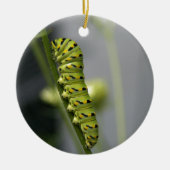 Zwarte moerasstaartschar (peterselyworm) op diesel keramisch ornament (Voorkant)