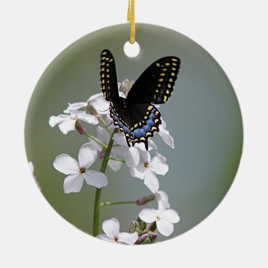 Zwarte moerasvlinder keramisch ornament (Achterkant)