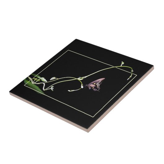 Zwarte moerasvlinder tegeltje (Zijkant)