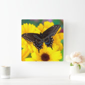 Zwarte moerasvlinder vierkante klok (Huis)