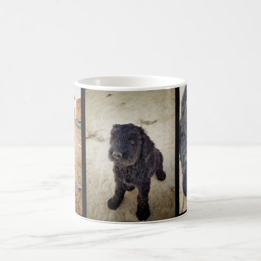 Zwarte Mok Russische Terrier (Center)