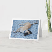 Zwarte Mond Cur Canine op grind Kaart (Voorkant)