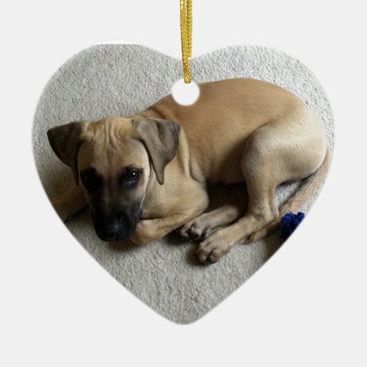 Zwarte-mondkapper met blauwe speelgoed keramisch ornament (Voorkant)