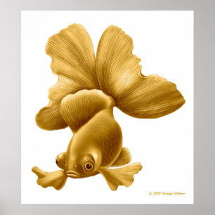 Zwarte Moor Goldfish Print