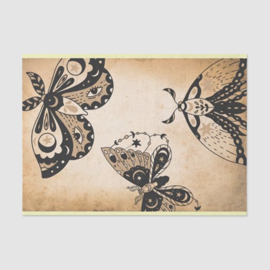 zwarte moten met achtergrondverlichting tissuepapier (Voorkant)