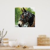 zwarte muil poster (Keuken)