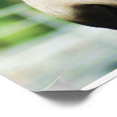 zwarte muil poster (Hoek)