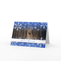 Zwarte Mustang - 5x7 de Kaart van de Vakantie