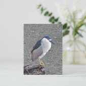 Zwarte nachtheron briefkaart (Staand voorkant)