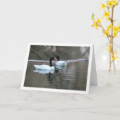 Zwarte nekzwanen kaart (Gele Bloem)