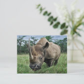 Zwarte Neushoorn | Kenia Briefkaart (Staand voorkant)