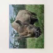 Zwarte Neushoorn | Kenia Legpuzzel (Verticaal)
