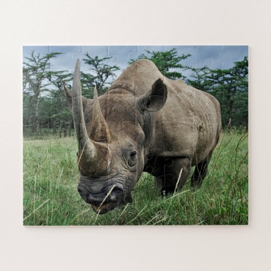 Zwarte Neushoorn | Kenia Legpuzzel (Horizontaal)