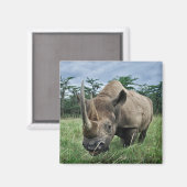 Zwarte Neushoorn | Kenia Magneet (Voorkant / Achterkant)