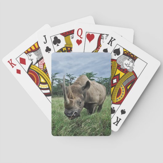 Zwarte Neushoorn | Kenia Pokerkaarten (Achterkant)