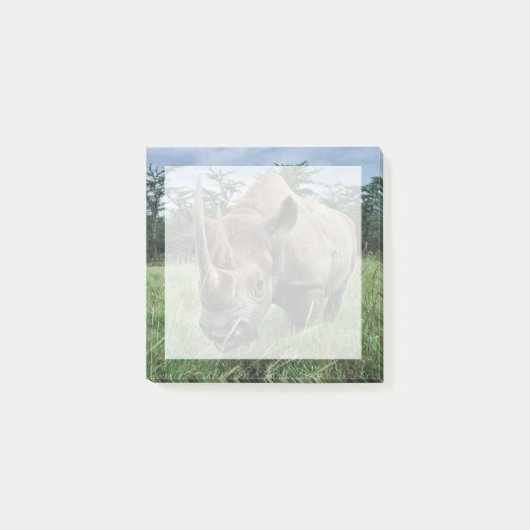 Zwarte Neushoorn | Kenia Post-it® Notes (Voorkant)