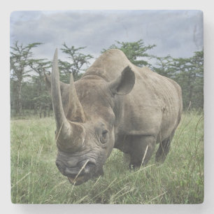 Zwarte Neushoorn   Kenia Stenen Onderzetter