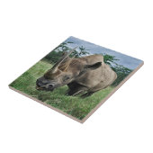 Zwarte Neushoorn | Kenia Tegeltje (Zijkant)