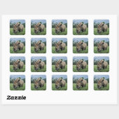 Zwarte Neushoorn | Kenia Vierkante Sticker (Vel)