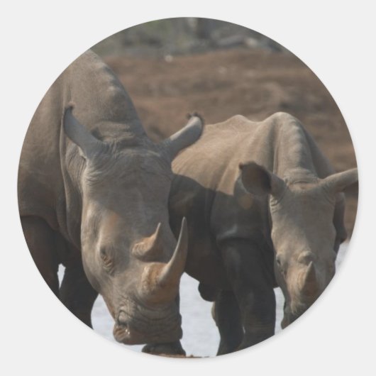 Zwarte neushoorn Sticker (Voorkant)