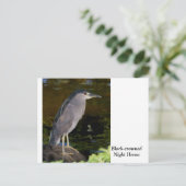 Zwarte Night Heron Briefkaart (Staand voorkant)