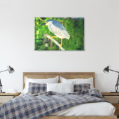 Zwarte Night Heron Canvas Afdruk (Insitu (Slaapkamer))