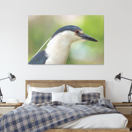 Zwarte Night Heron Canvas Afdruk (Insitu (Slaapkamer))