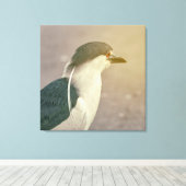 Zwarte Night Heron Canvas Afdruk (Insitu (Houten vloer))