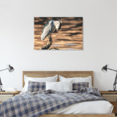 Zwarte Night Heron Canvas Afdruk (Insitu (Slaapkamer))