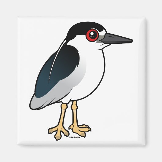 Zwarte Night Heron Magneet (Voorkant)