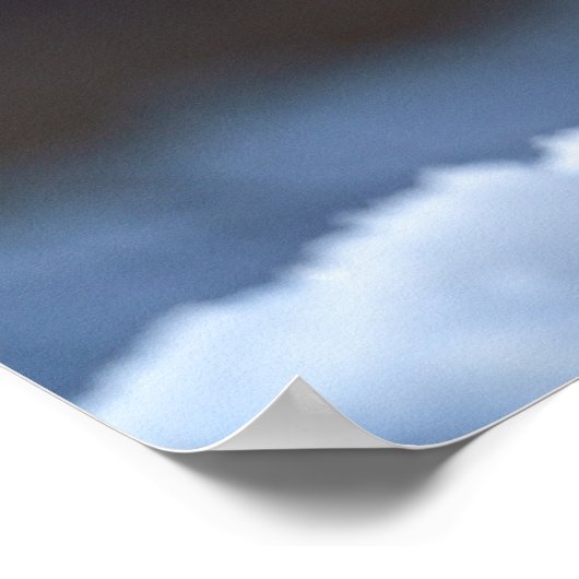 Zwarte Night-Heron Poster (Hoek)