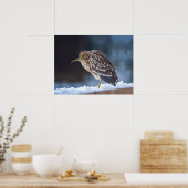 Zwarte Night-Heron Poster (Keuken)