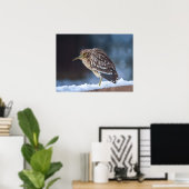 Zwarte Night-Heron Poster (Thuiskantoor)