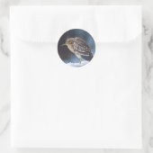 Zwarte Night-Heron Ronde Sticker (Tas)