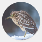 Zwarte Night-Heron Ronde Sticker (Voorkant)