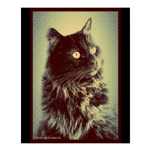 Zwarte Noorse boskat