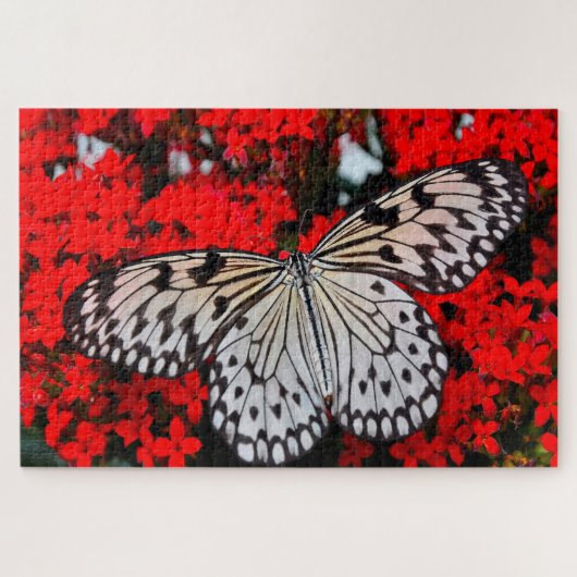 Zwarte Nymph Butterfly . Legpuzzel (Horizontaal)