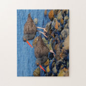 Zwarte oestercatchers bij het strand legpuzzel (Verticaal)